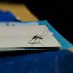 Teste de dengue em Jundiaí