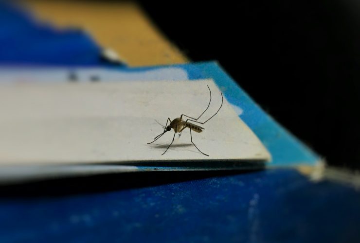 Teste de dengue em Jundiaí