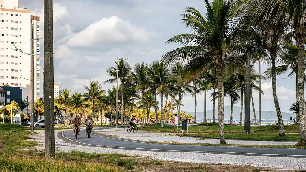Ciclistas passeiam por um parque costeiro com palmeiras.