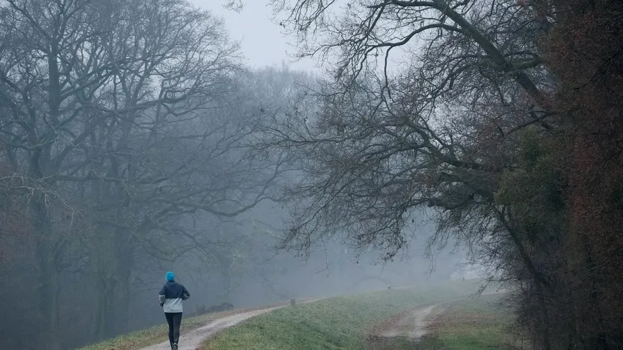 Um corredor solitário, vestindo um moletom azul, corre por uma trilha enevoada no coração de uma floresta invernal desolada.