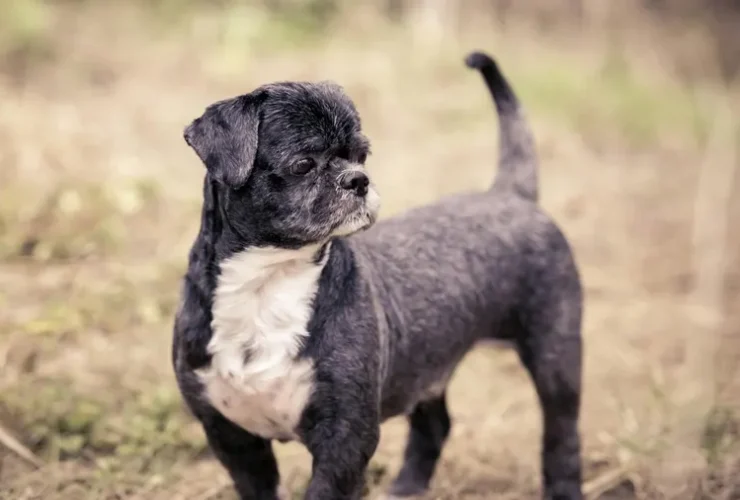 hidratacao no dia a dia sinais de atencao