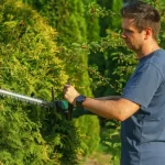 Foto profissional grátis de ambiente verde, ao ar livre, aparador elétrico