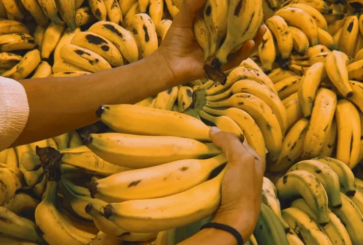 o que comer antes de correr