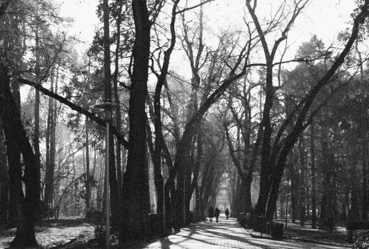 Pessoas caminhando em um parque da cidade ao amanhecer