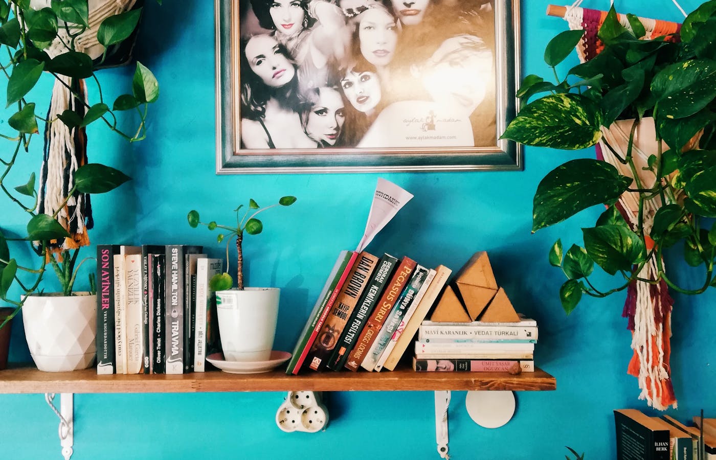 Vertical wooden wall shelf holding books and potted plants
