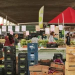 qualidade de vida na cidade habitos para aproveitar melhor a rotina