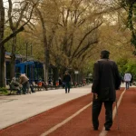 Um senhor idoso caminha em um parque tranquilo, cercado por árvores, em um dia sereno.